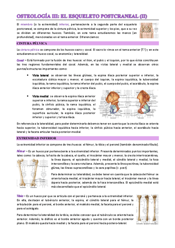 Miniatura del documento T8.pdf