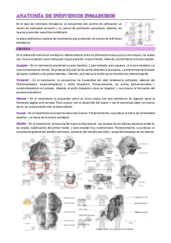 Miniatura del documento T9.pdf