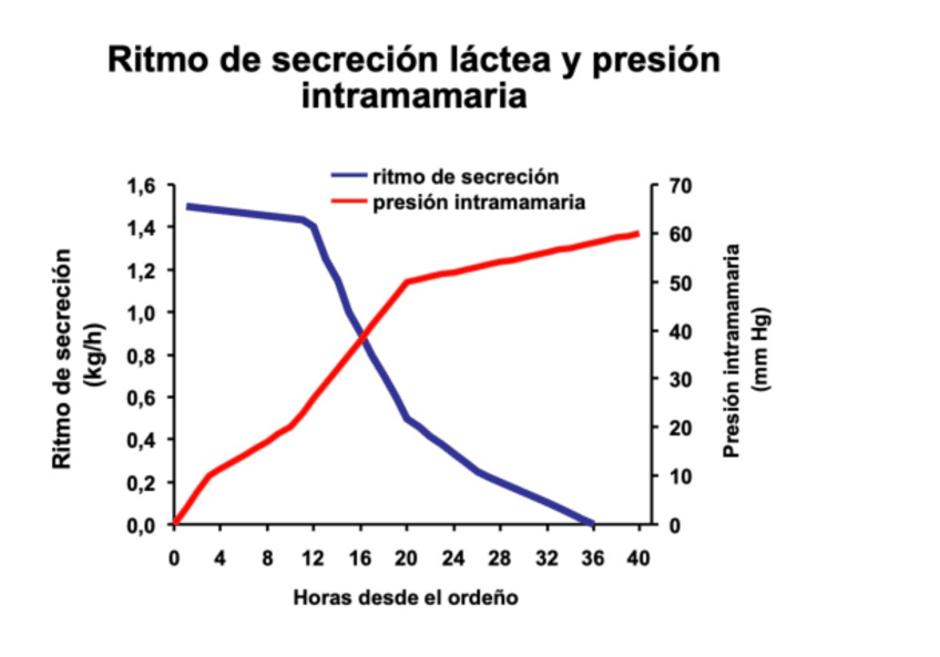 Miniatura del documento Ritmo-secrecion-y-bacterias.pdf