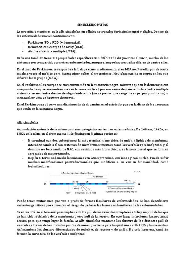 Miniatura del documento Sinucleinopatias.pdf