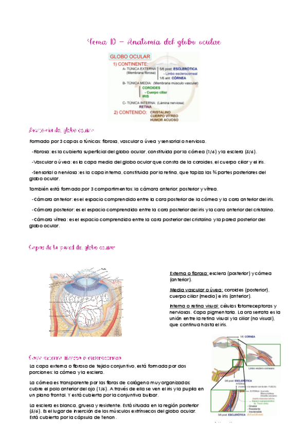 Miniatura del documento Tema-10.pdf
