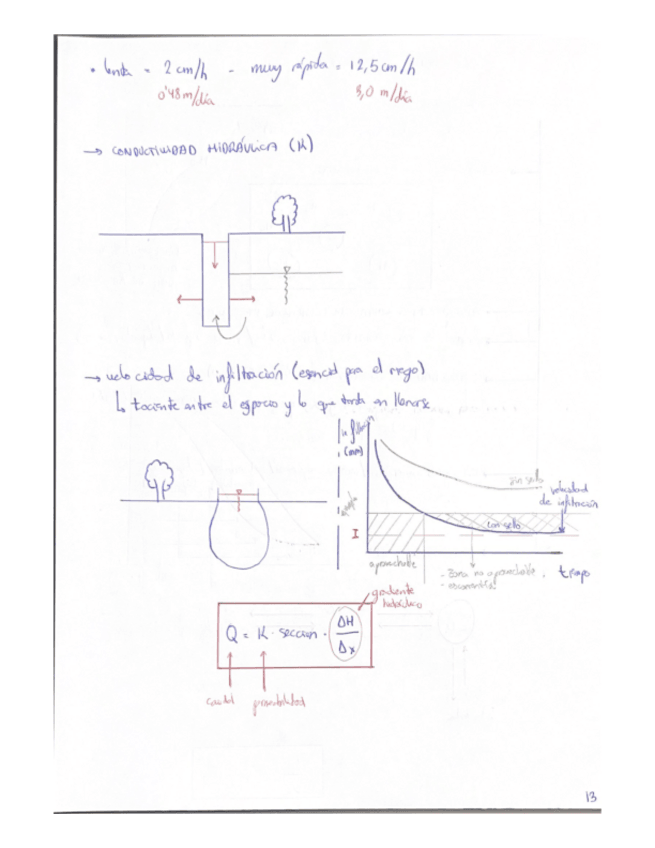 Miniatura del documento EDAFOLOGIA-II.pdf