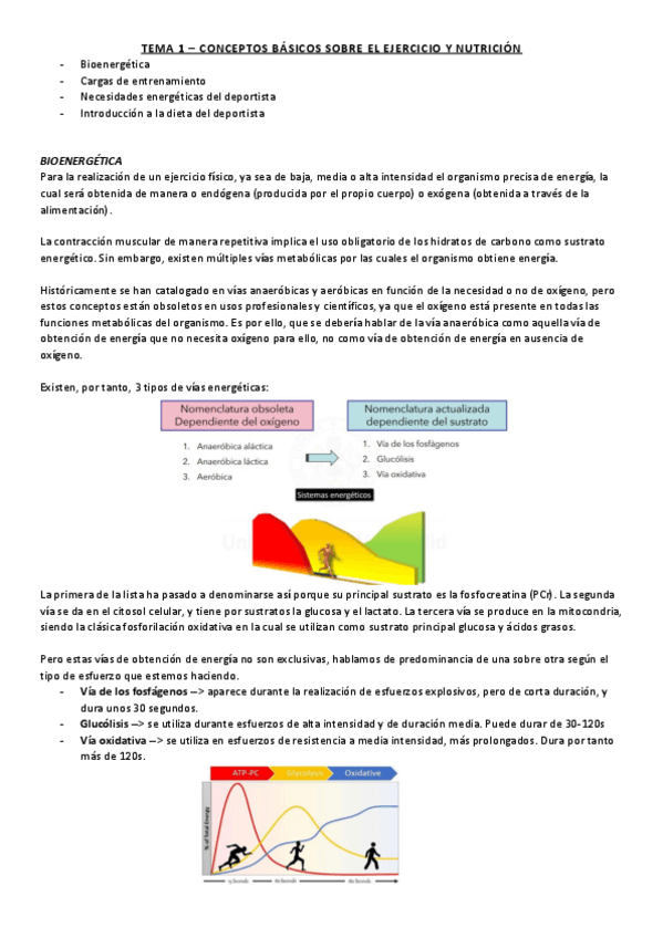 Miniatura del documento T1-ejercicio-y-nutricion.pdf