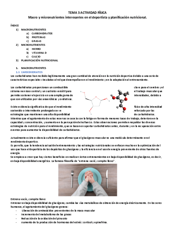 Miniatura del documento T3-Macro-y-micro-en-deporte.pdf