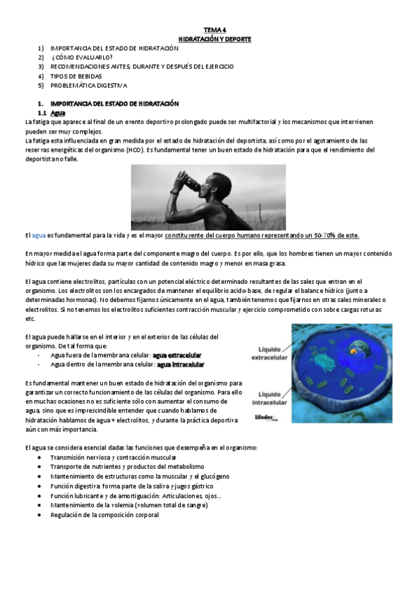 Miniatura del documento T4-Hidratacion-y-deporte.pdf