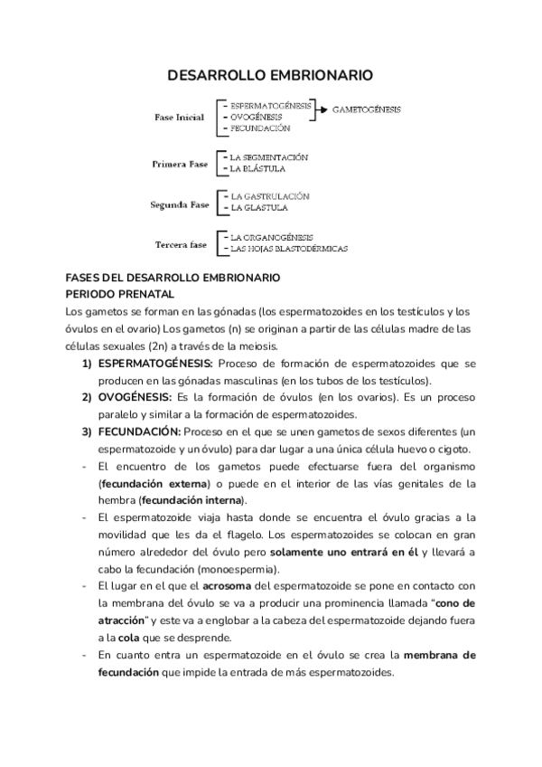 Miniatura del documento Desarrollo-embrionario.pdf