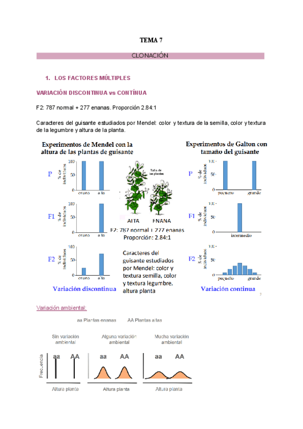 Miniatura del documento TEMA-7.-CLONACION.pdf