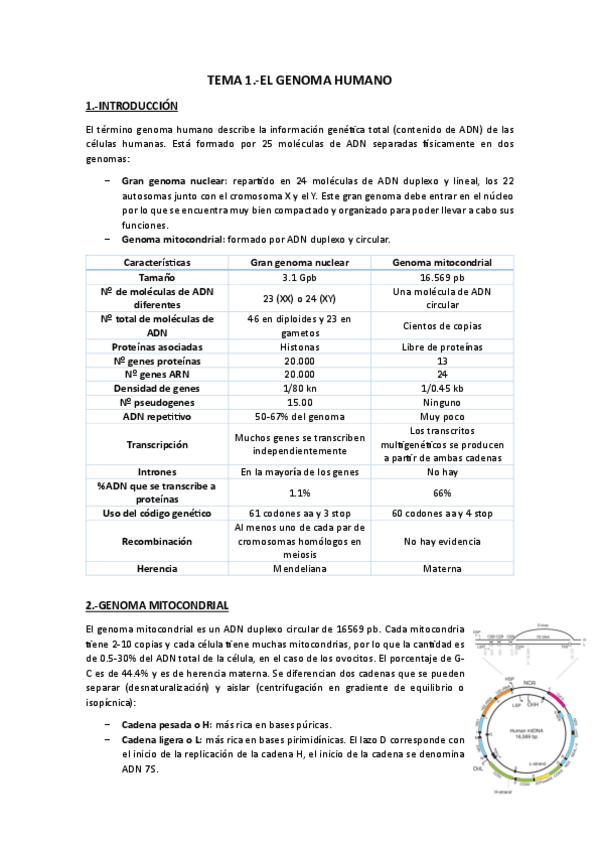 Miniatura del documento Tema 1.-El genoma humano.pdf