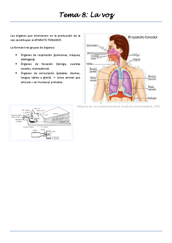 Miniatura del documento apuntes-2-cuatri.pdf