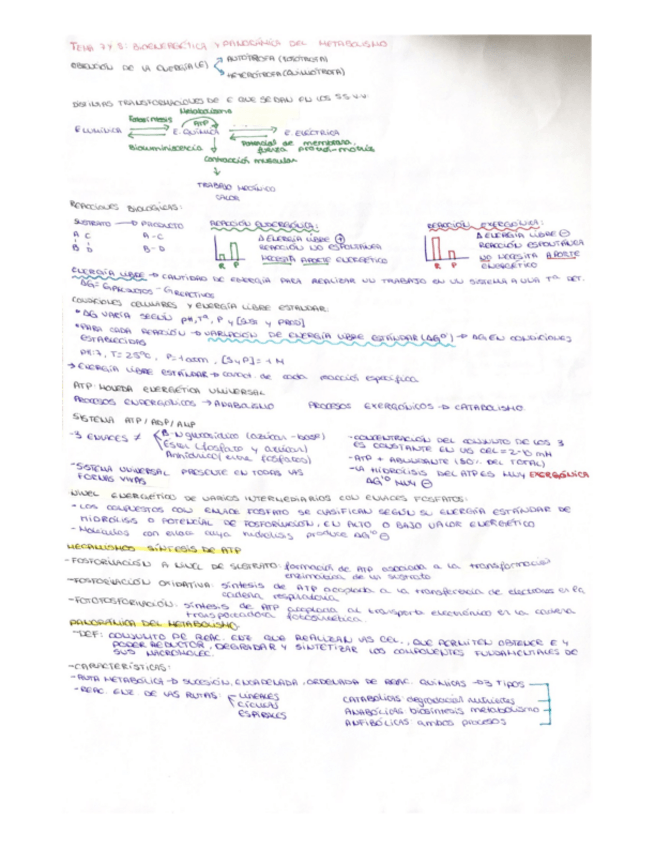 Miniatura del documento Bioquimica-Temas-7-al-11.pdf