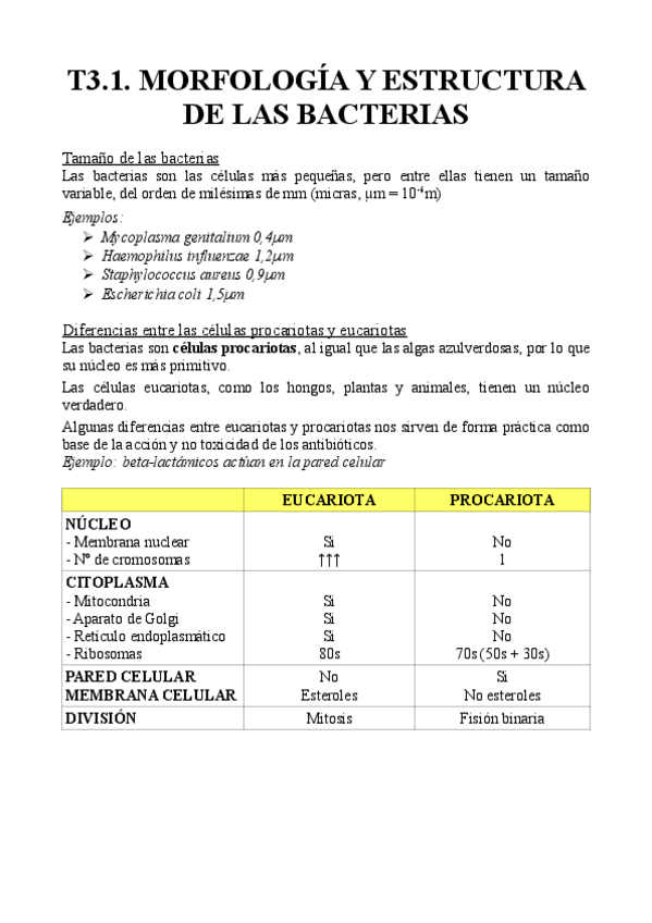 Miniatura del documento T3.1.-Morfologia-y-estructura-de-las-bacterias.pdf
