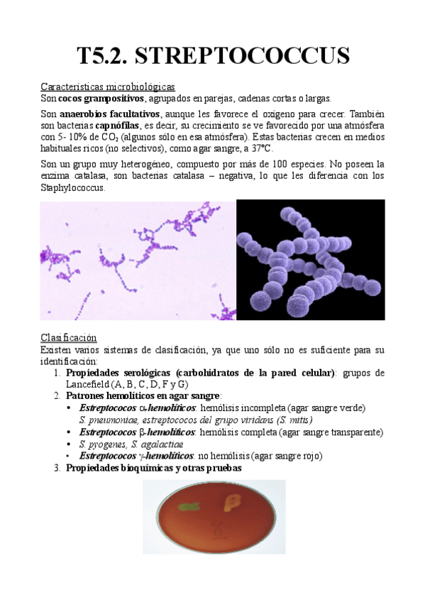Miniatura del documento T5.2.-Sreptococcus.pdf