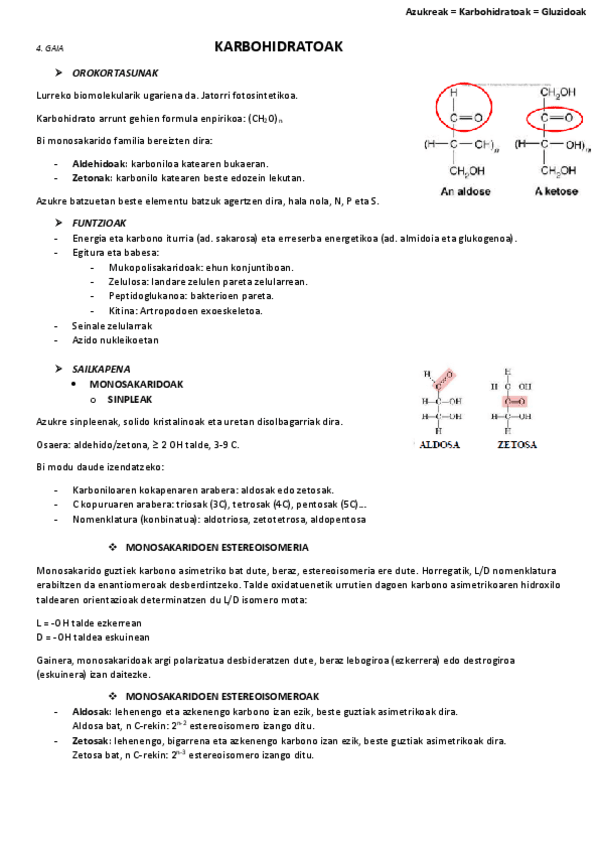 Miniatura del documento 4.-Karbohidratoak.pdf