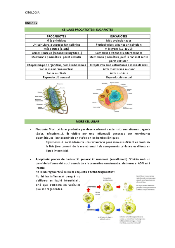 Miniatura del documento UNITAT-2-Citologia.pdf