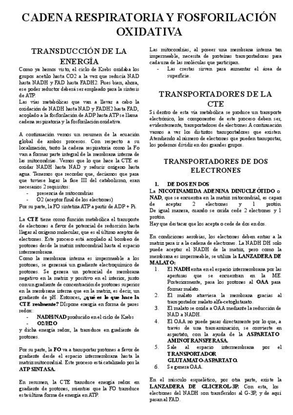 Miniatura del documento FOSFORILACION-OXIDATIVA.pdf