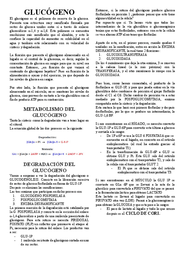 Miniatura del documento 6.-GLUCOGENO.pdf