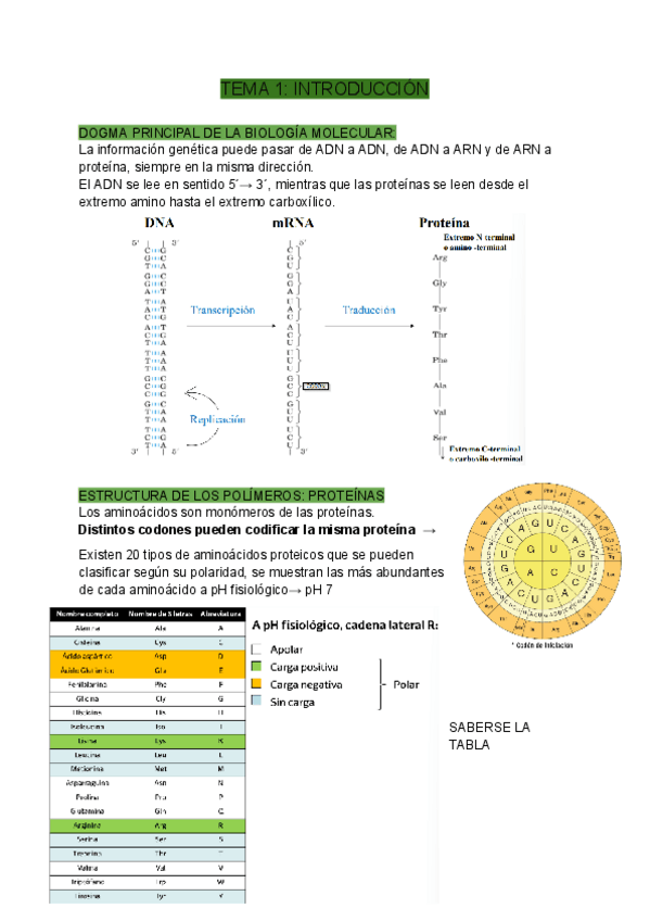 Miniatura del documento TEMA-1-INTRODUCCION.pdf