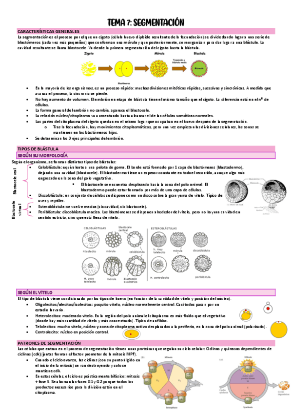 Miniatura del documento TEMA-7-Y-8.pdf