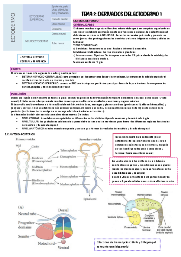 Miniatura del documento TEMA-9.pdf