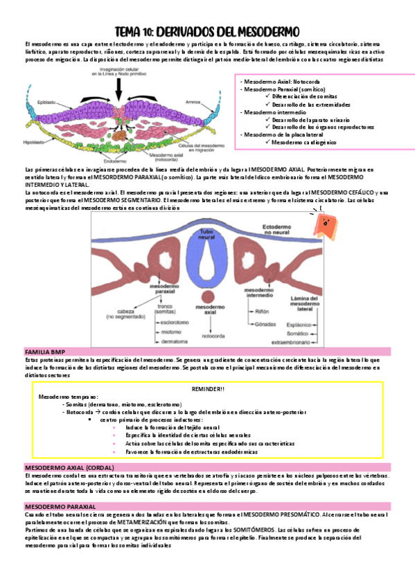 Miniatura del documento TEMA-10.pdf