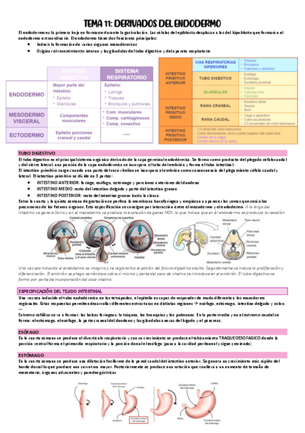 Miniatura del documento TEMA-11.pdf