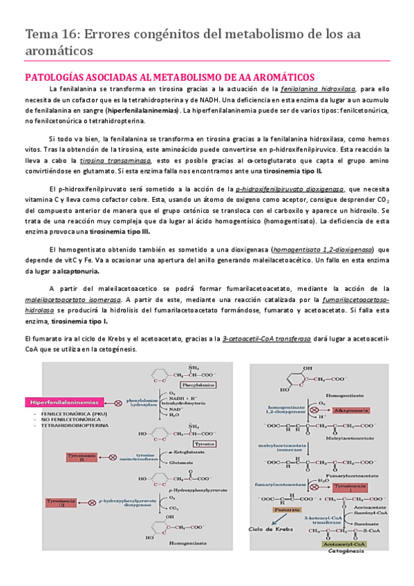 Miniatura del documento Tema 16.pdf
