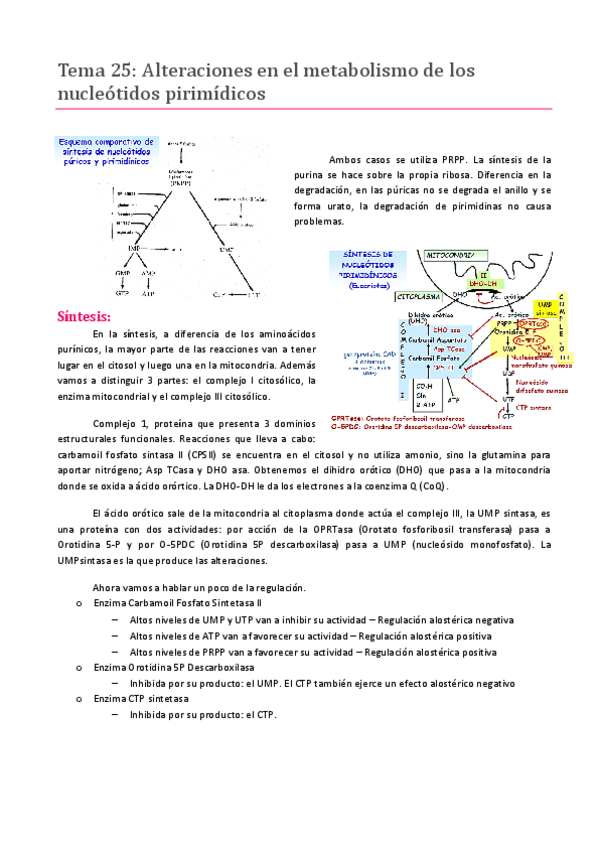 Miniatura del documento Tema 25.pdf