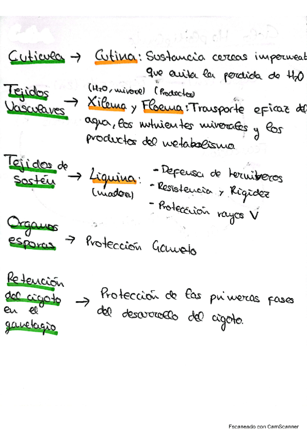 Miniatura del documento biologia-vegetacion.pdf