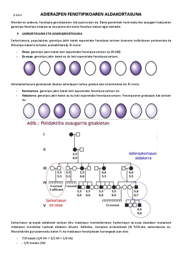 Miniatura del documento 8.-Adierazpen-fenotipikoaren-aldakortasuna.pdf