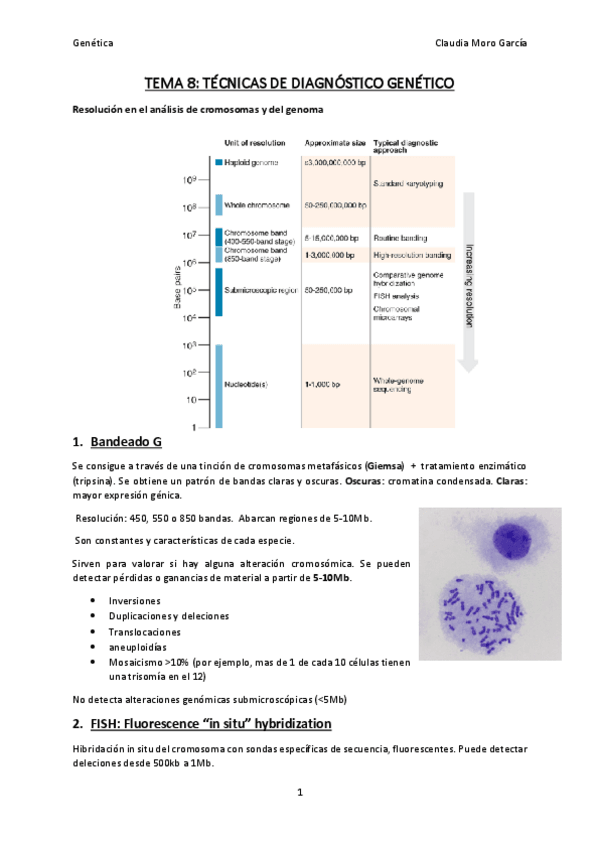 Miniatura del documento TEMA-8.pdf