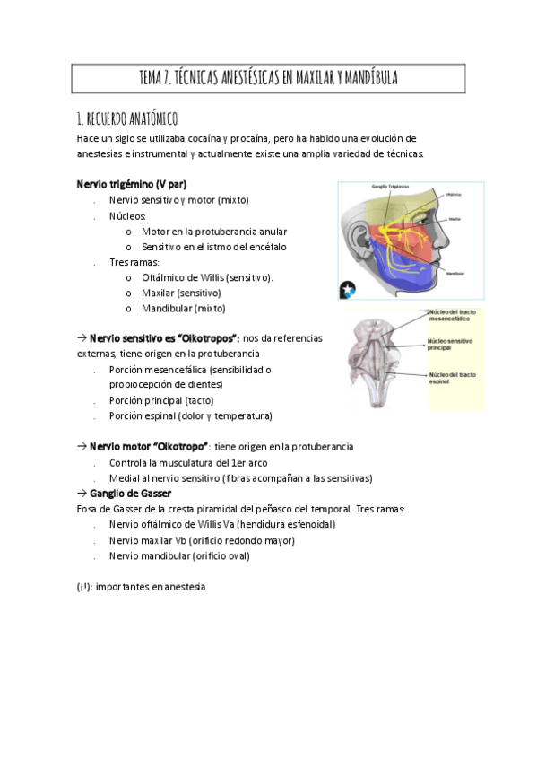 Miniatura del documento TEMA-7.pdf