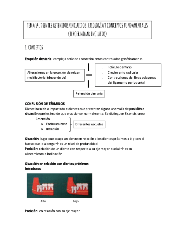 Miniatura del documento TEMA-14.pdf