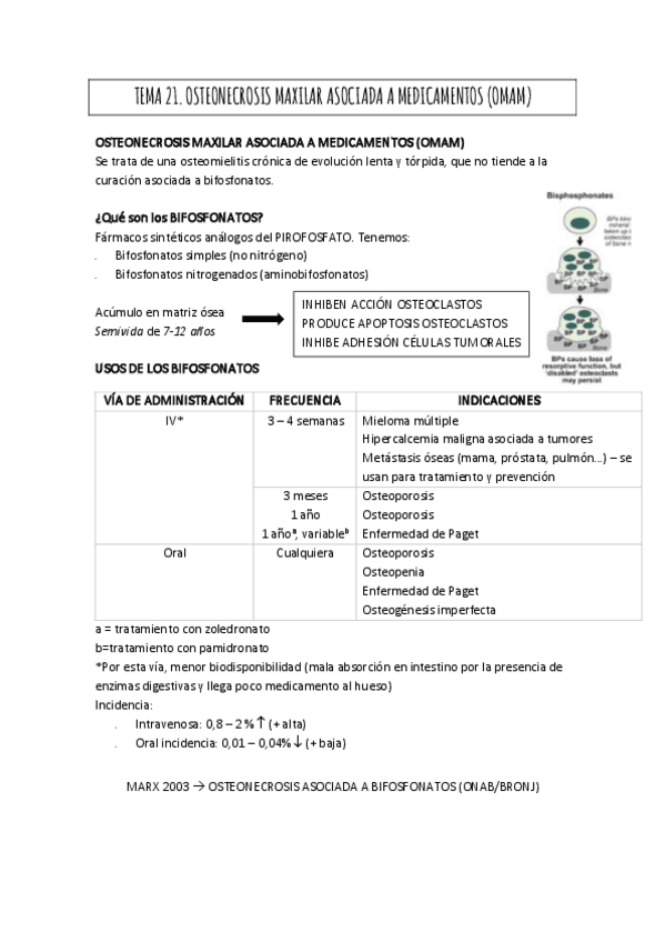 Miniatura del documento TEMA-21.pdf