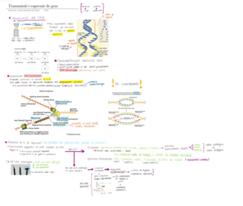 Miniatura del documento APUNTS-COMPLETS-BC.pdf
