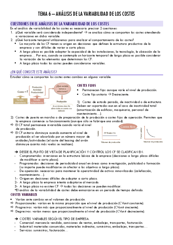 Miniatura del documento TEMA-6-Variabilidad-de-los-costes.pdf