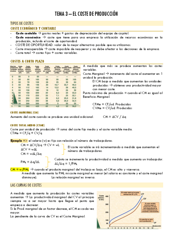 Miniatura del documento TEMA-3-Coste-de-produccion.pdf