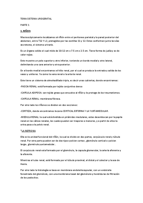 Miniatura del documento TEMA-SISTEMA-UROGENITAL-parte-1.pdf