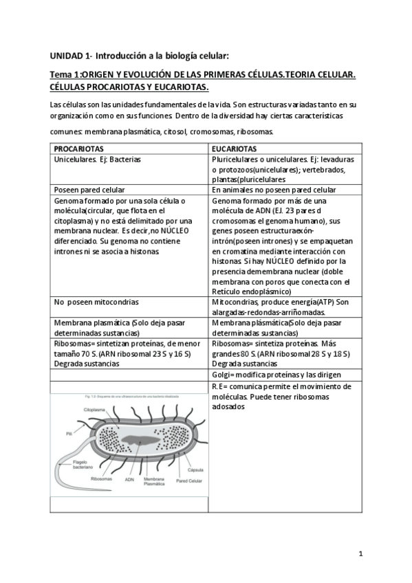 Miniatura del documento UNIDAD-1-biologia.pdf