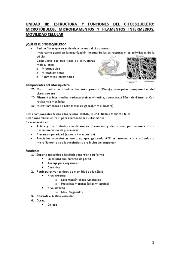 Miniatura del documento UNIDAD-III.-citoesqueleto.pdf