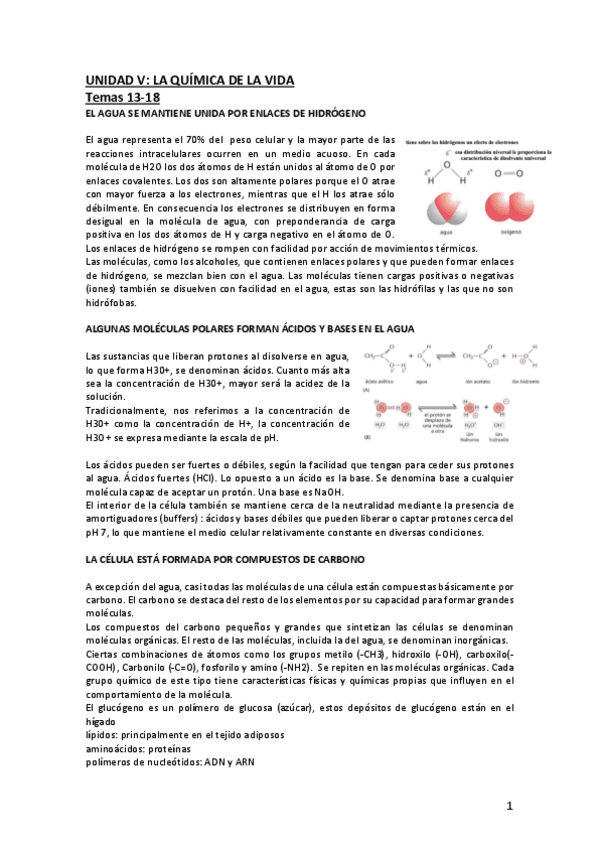 Miniatura del documento UNIDAD-V-la-quimica-de-la-vida.pdf
