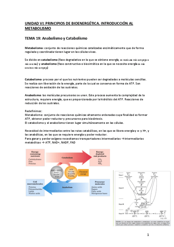 Miniatura del documento UNIDAD-VI.pdf