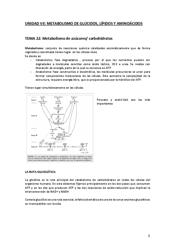 Miniatura del documento UNIDAD-VII.pdf