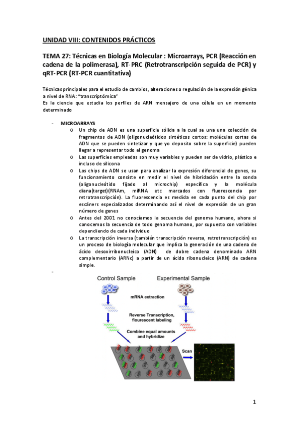 Miniatura del documento UNIDAD-VIII-Contenidos-practicos-biologia.pdf