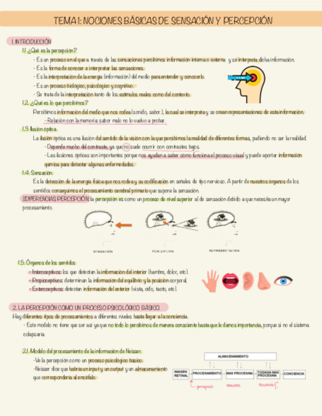 Miniatura del documento Temario-Percepcion-Completo.pdf