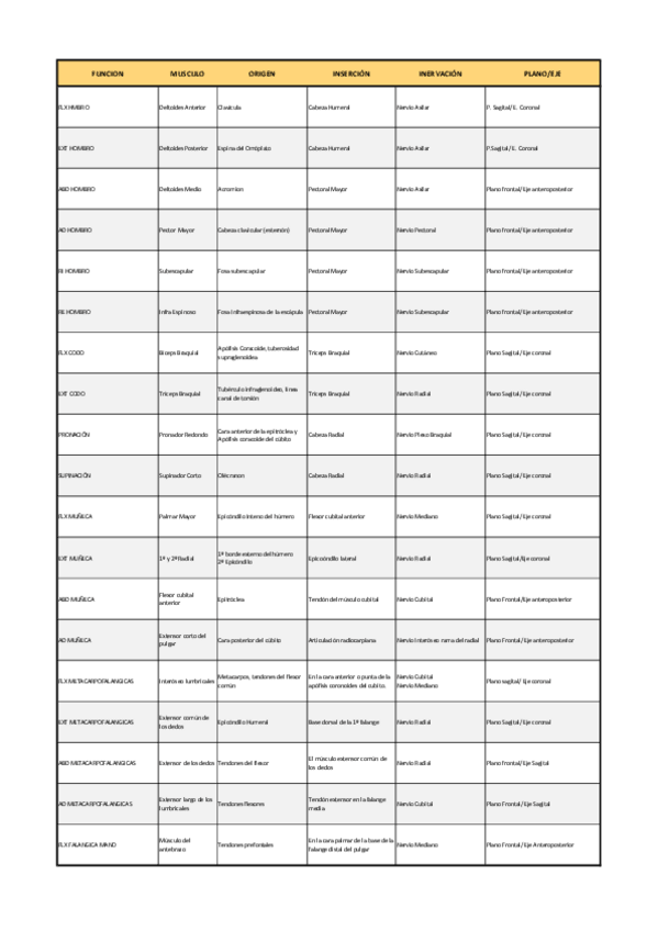 Miniatura del documento musculos.pdf