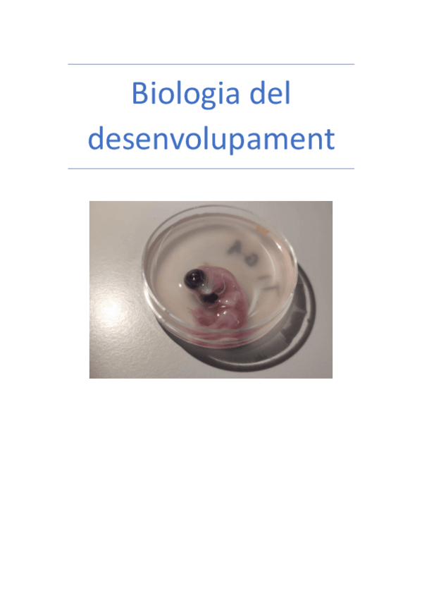 Miniatura del documento Biologia-del-desenvolupament.pdf