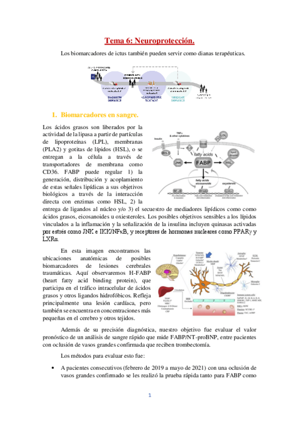 Miniatura del documento Tema-6.pdf
