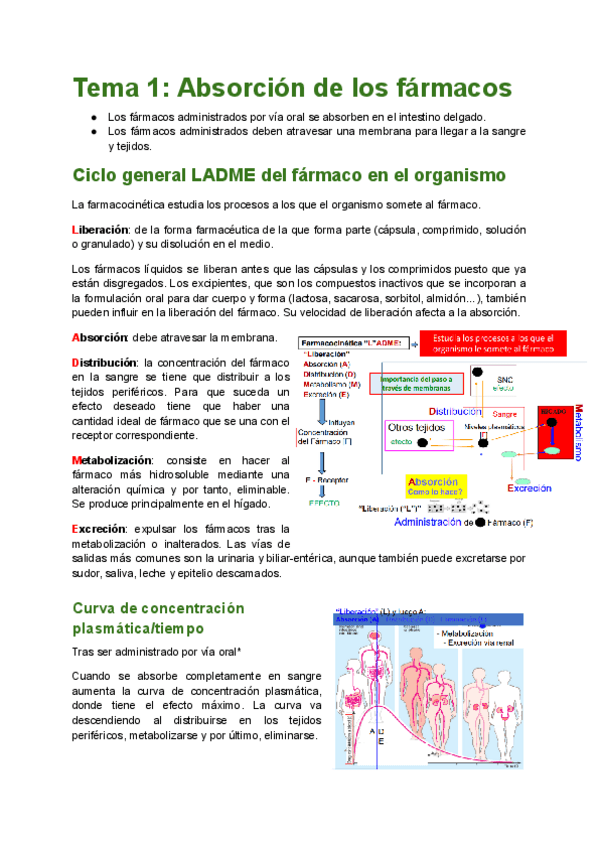 Miniatura del documento TEMA-1-Absorcion.pdf