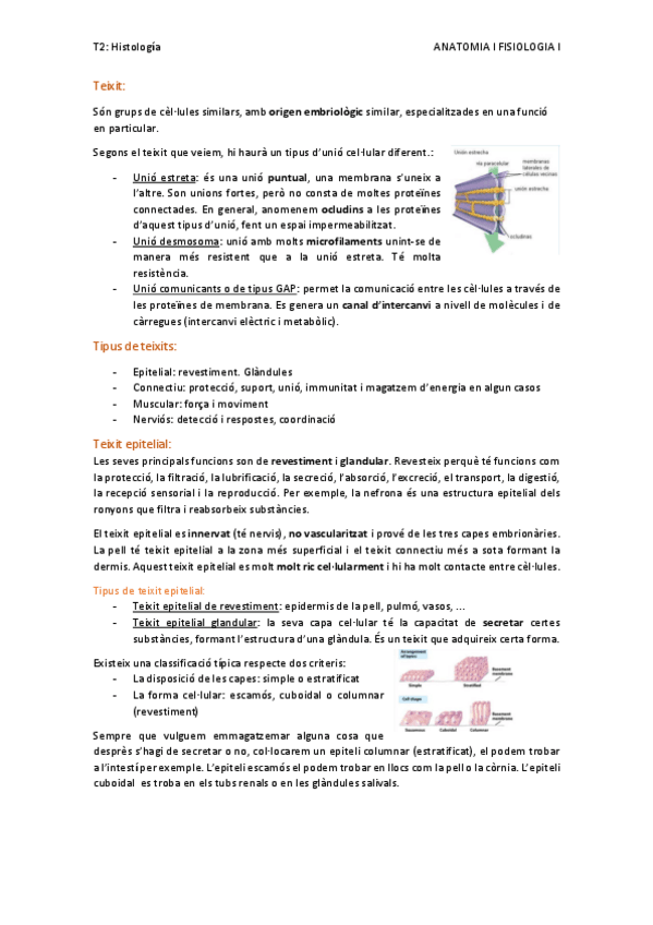 Miniatura del documento T2.-histologia.pdf