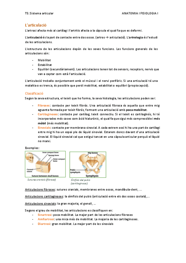 Miniatura del documento T5.-sistema-articular.pdf